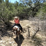 7E97A786-6F41-4519-84FA-8E4B412FCF5E_1_105_c