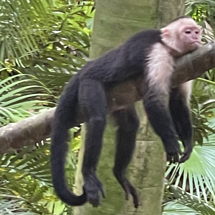 Skærmbillede 2025-04-16 kl. 19.18.35