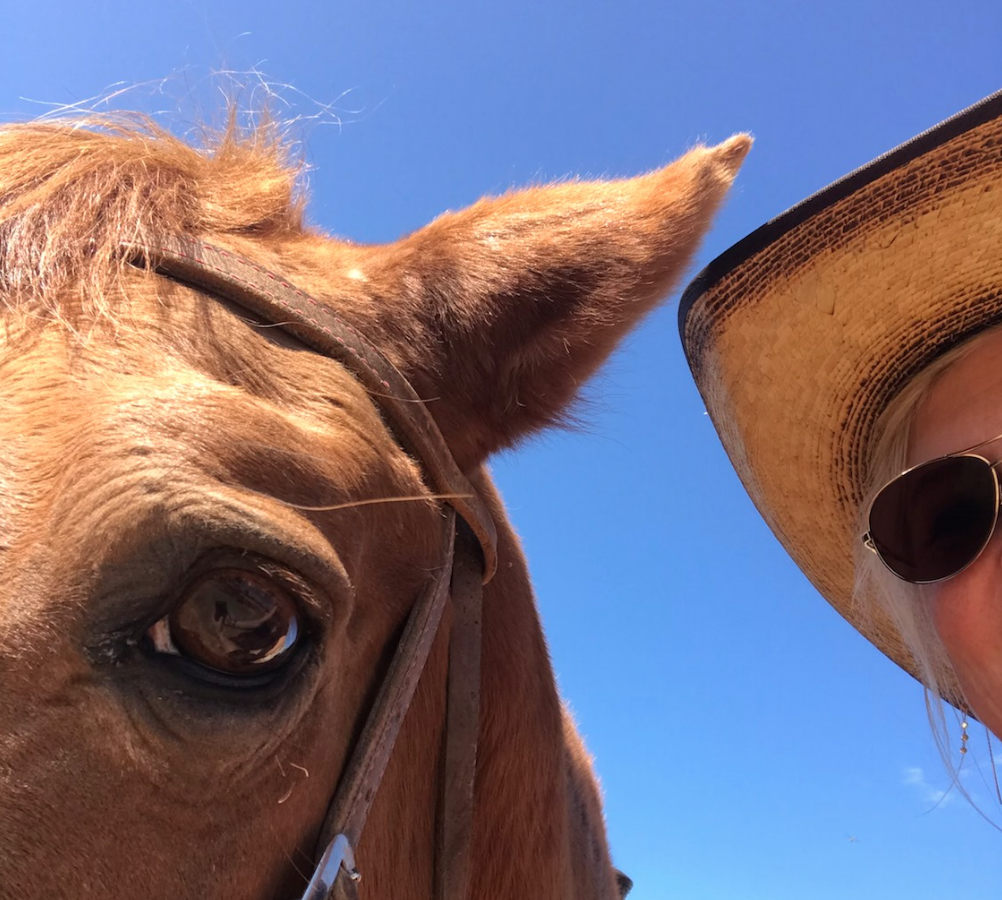 Skærmbillede 2025-04-17 kl. 21.40.22