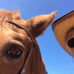 Skærmbillede 2025-04-17 kl. 21.40.22