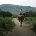 Skærmbillede 2025-04-18 kl. 01.38.07