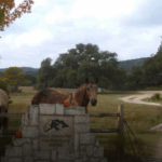 Skærmbillede 2025-04-18 kl. 01.38.41