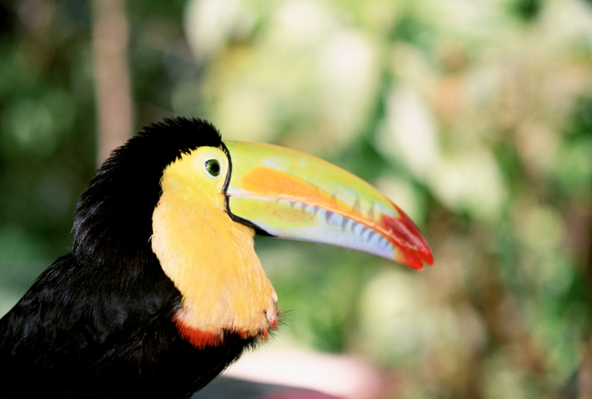 Skærmbillede 2025-04-18 kl. 03.26.55