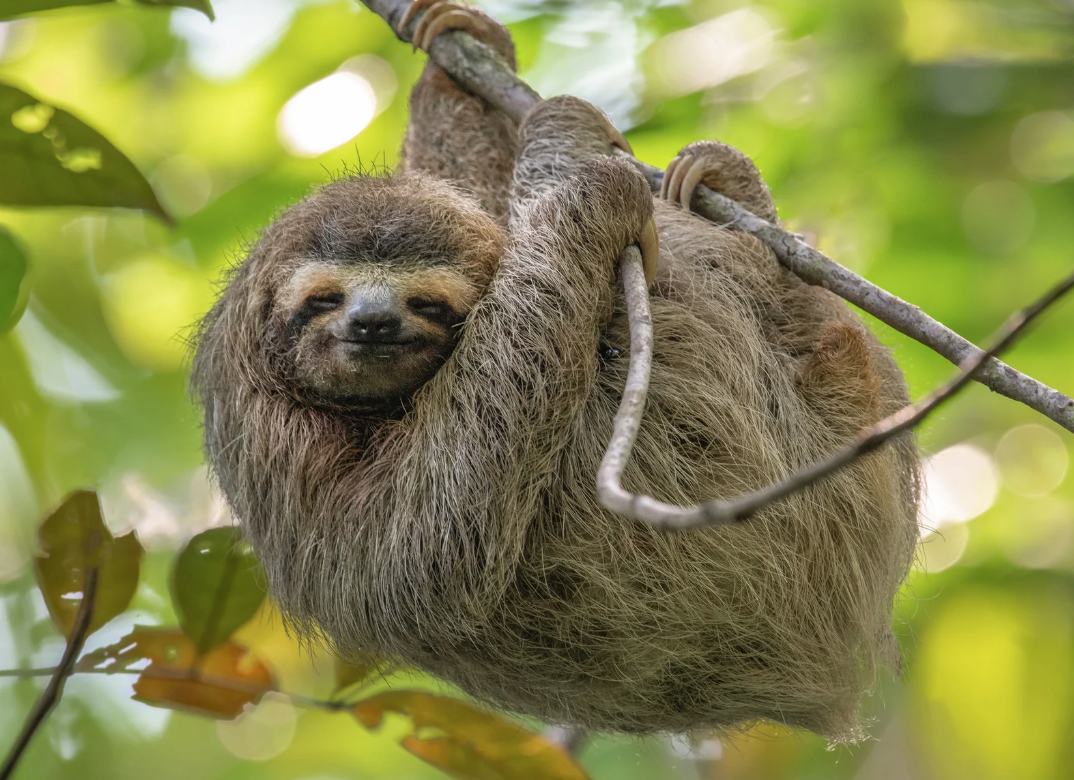 Skærmbillede 2025-04-18 kl. 03.29.13