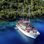 Skærmbillede 2026-02-12 kl. 02.02.45